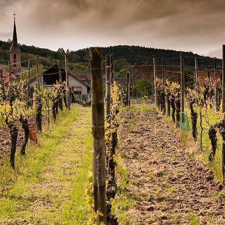 Les Gites Du Raceme Blienschwiller Bagian luar foto