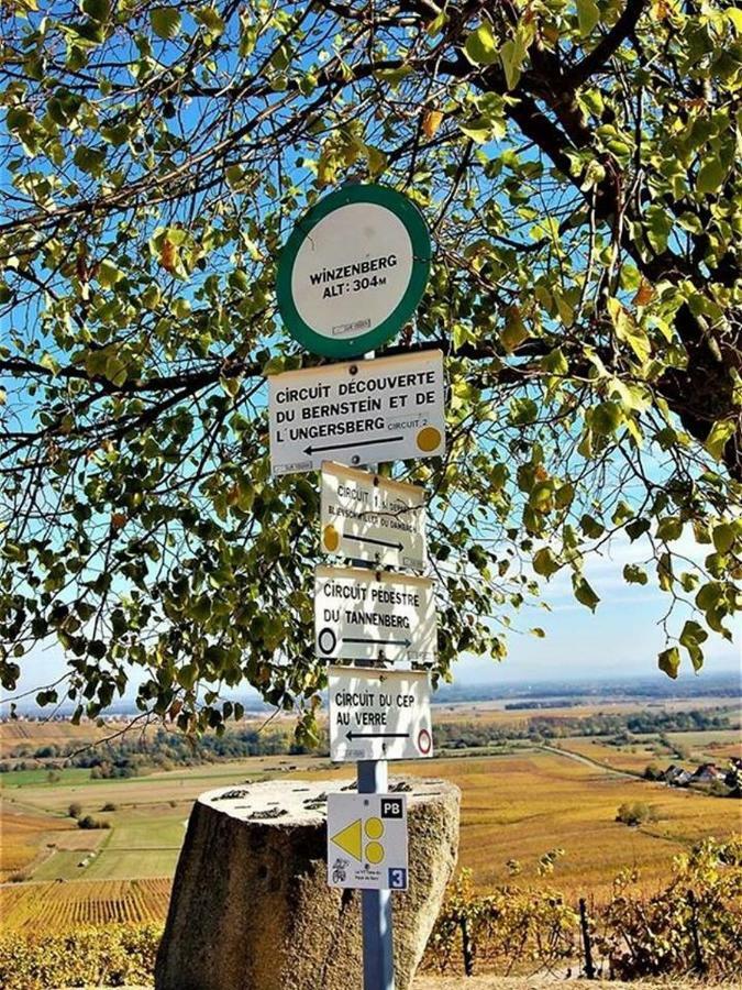 Les Gites Du Raceme Blienschwiller Bagian luar foto