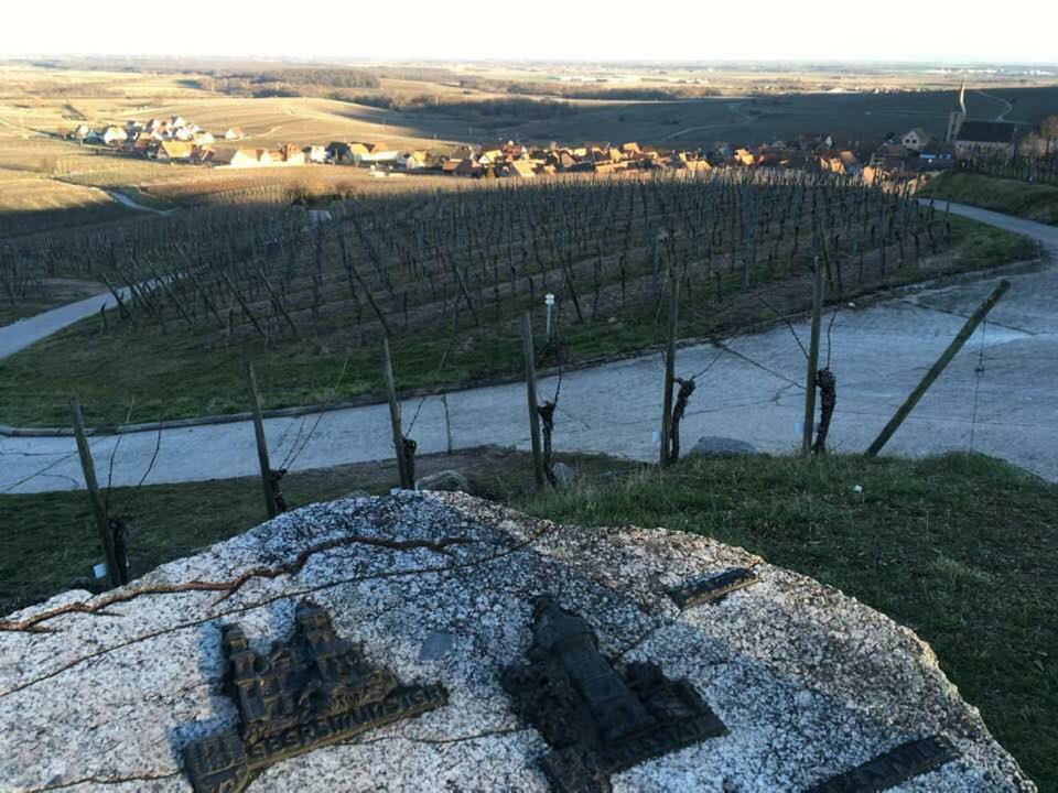 Les Gites Du Raceme Blienschwiller Bagian luar foto