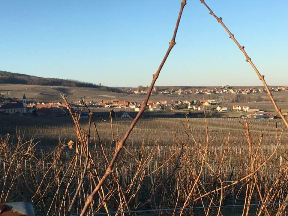 Les Gites Du Raceme Blienschwiller Bagian luar foto