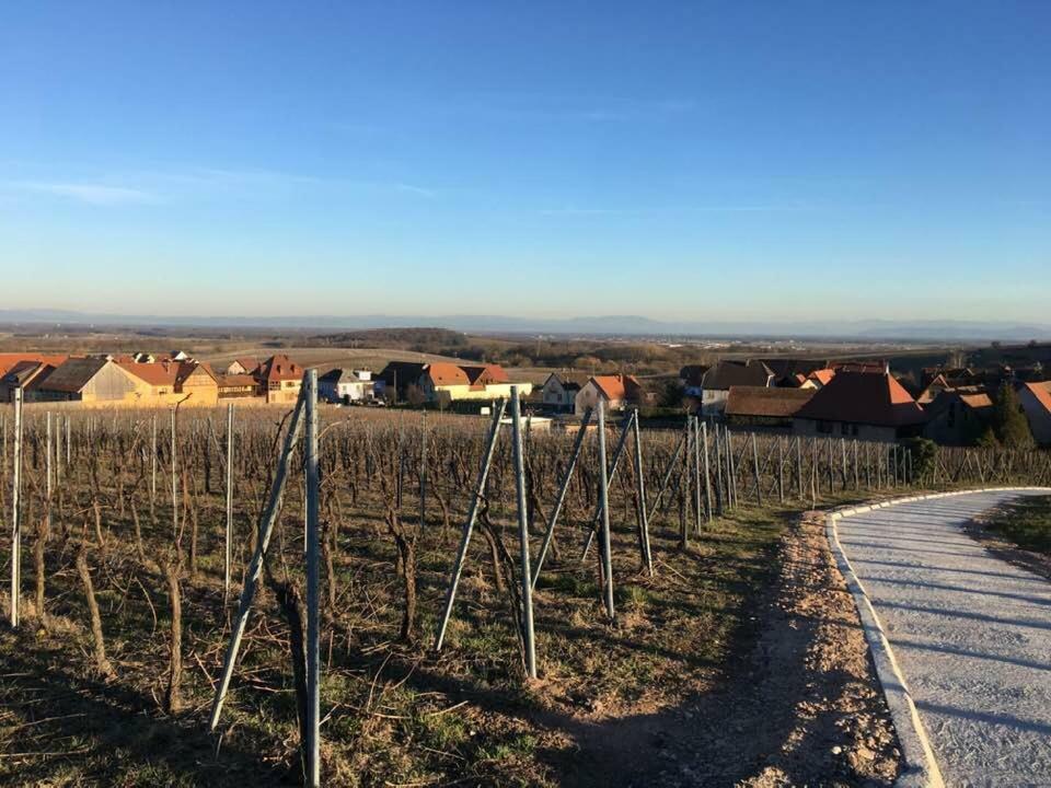 Les Gites Du Raceme Blienschwiller Bagian luar foto